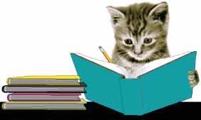 Cat Writing a Book